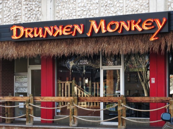 drunken-monkey