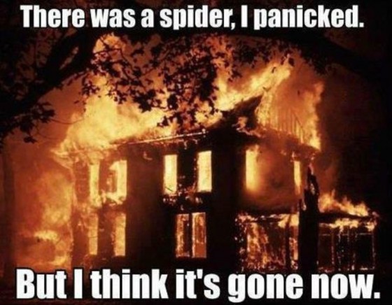 there-was-a-spider-i-panicked